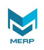 MERP Systems Private Limited Logo